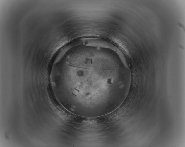 X0000091710354200708311121