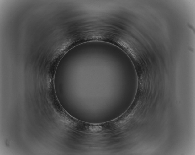 X0000091710355200708311121