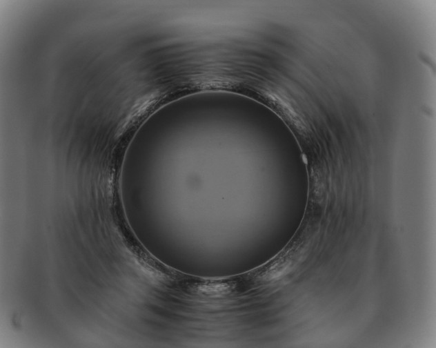 X0000091710357200708311121