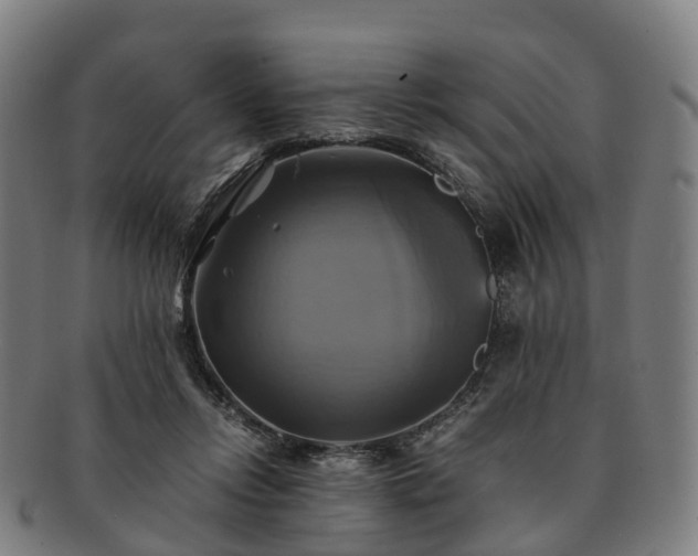 X0000091710358200708311121