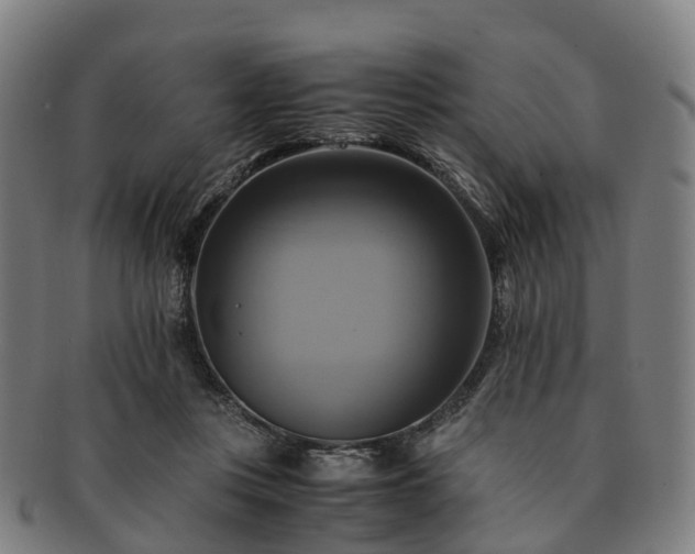 X0000091710359200708311121