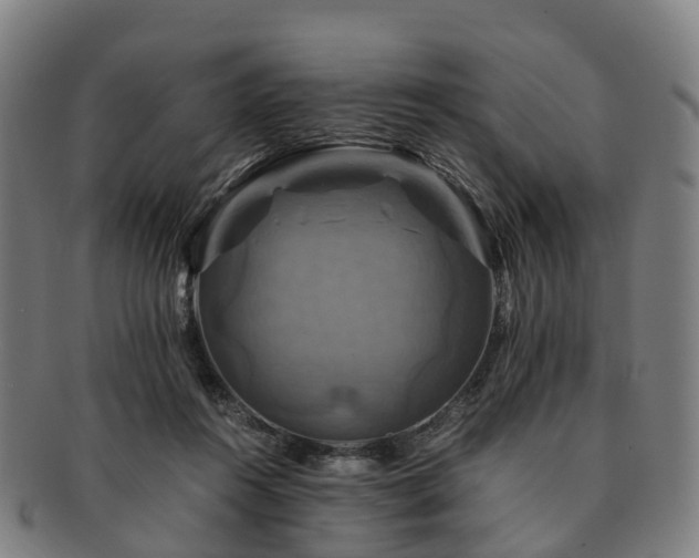 X0000091710360200708311121