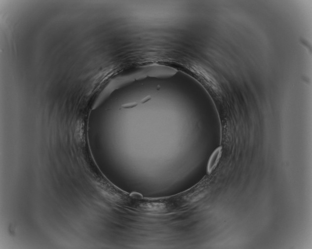 X0000091710361200708311121