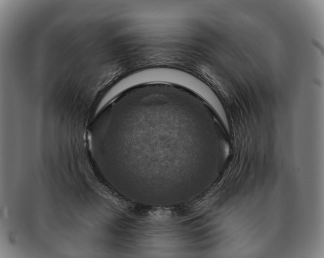 X0000091710362200708311121