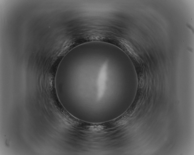 X0000091710363200708311121