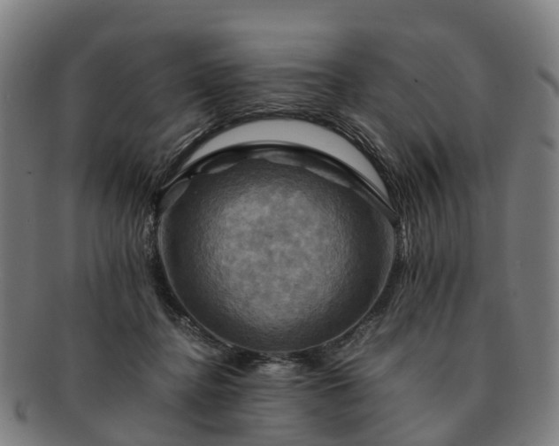 X0000091710364200708311121