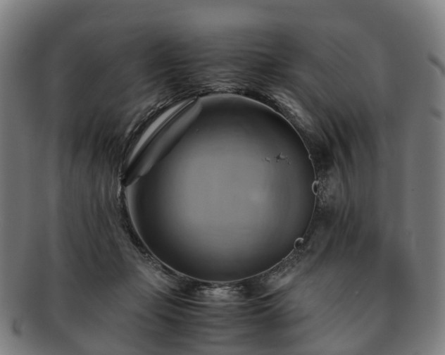 X0000091710365200708311121