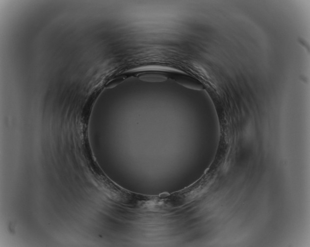 X0000091710366200708311121