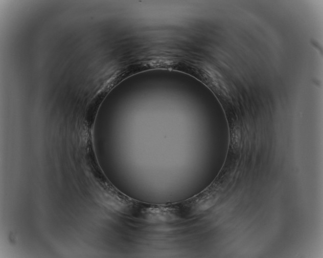 X0000091710367200708311121