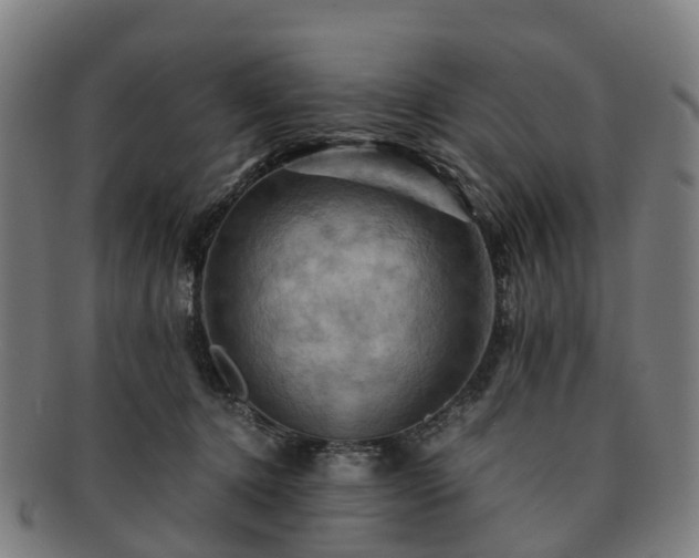 X0000091710368200708311121