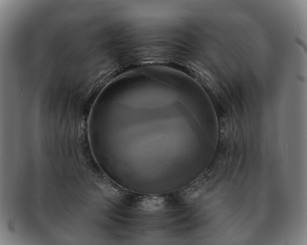 X0000091710369200708311121