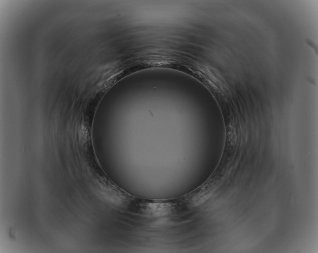 X0000091710371200708311121