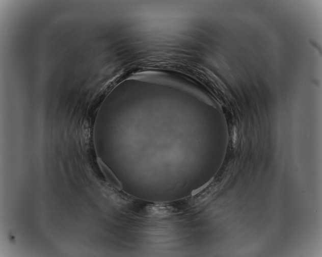 X0000091710372200708311121