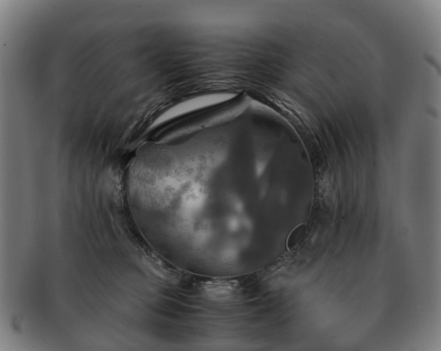 X0000091710373200708311121