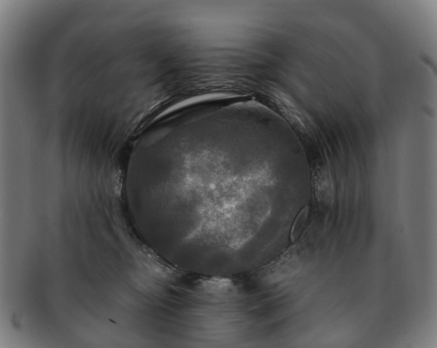 X0000091710374200708311121