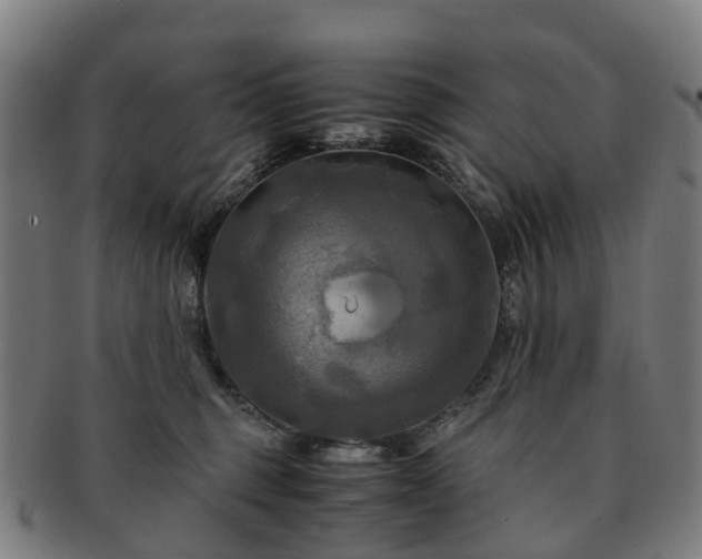 X0000091710375200708311121