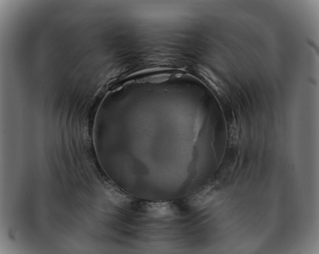 X0000091710377200708311121