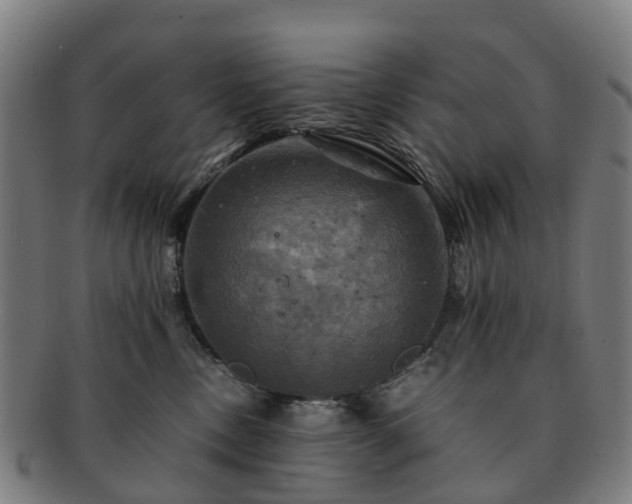 X0000091710378200708311121