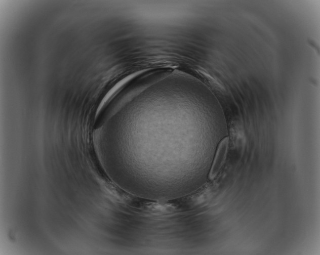 X0000091710379200708311121