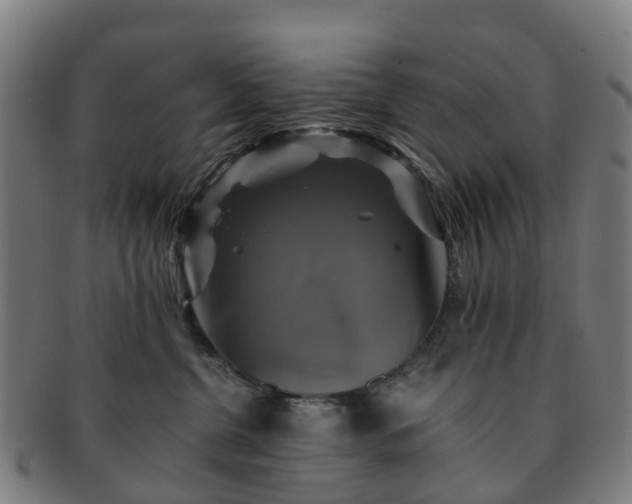 X0000091710380200708311121