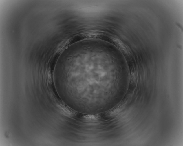 X0000091710381200708311121