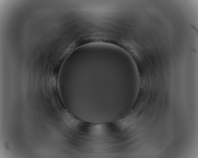 X0000091710382200708311121