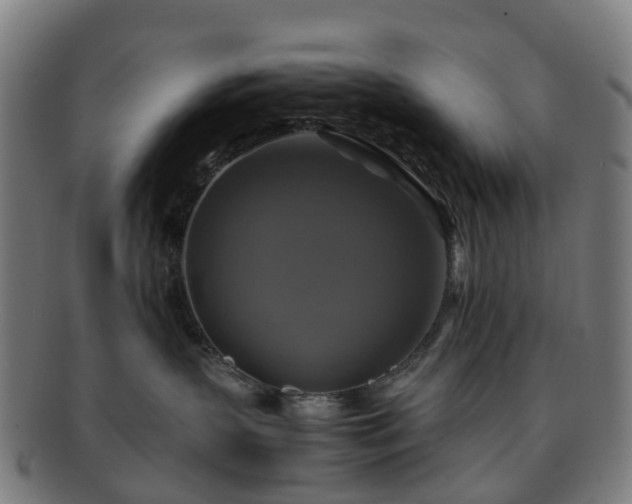 X0000091710383200708311121