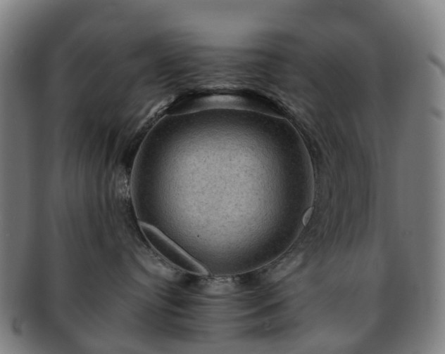 X0000091710384200708311121