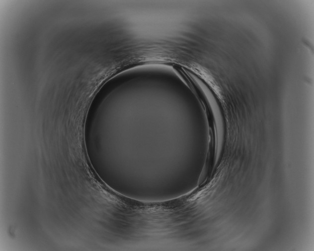 X0000091710385200708311120