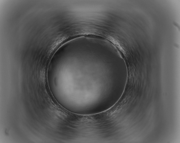 X0000091710386200708311120