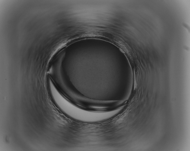 X0000091710387200708311120