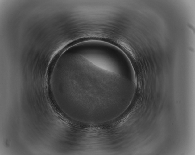 X0000091710388200708311120