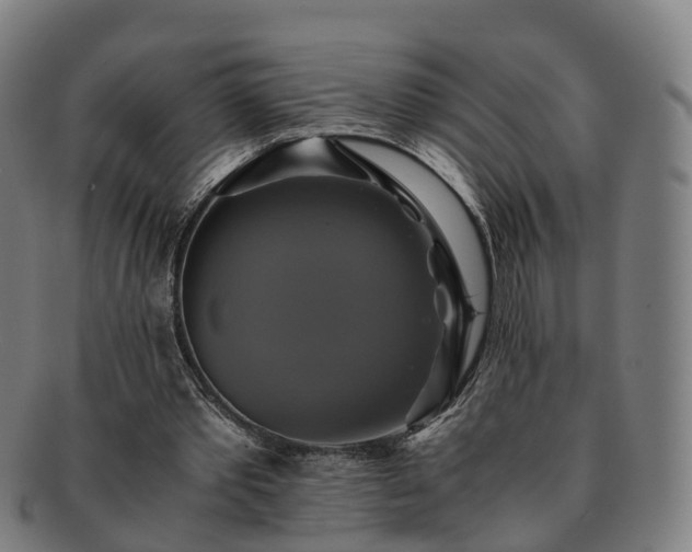 X0000091710389200708311120