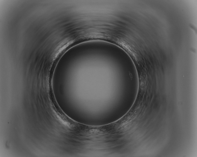 X0000091710390200708311120