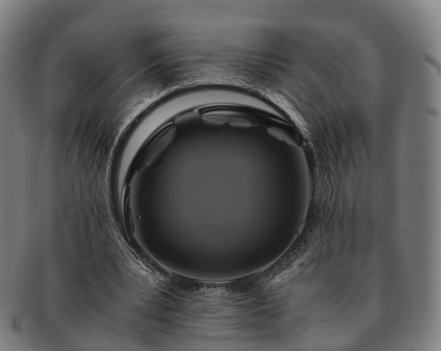 X0000091710391200708311120