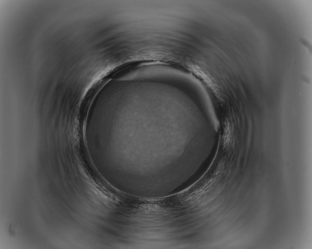 X0000091710392200708311120