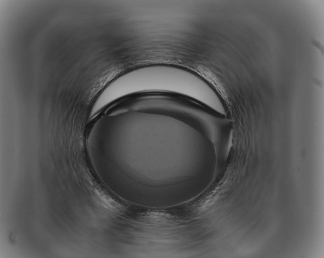 X0000091710393200708311120