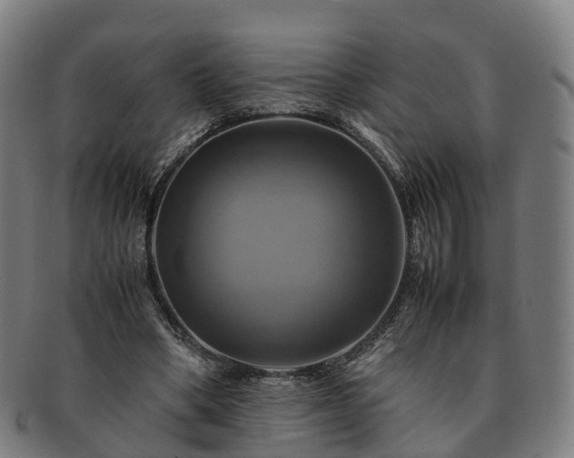 X0000091710394200708311120