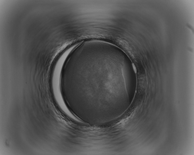 X0000091710395200708311120