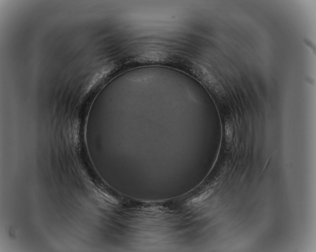 X0000091710396200708311120