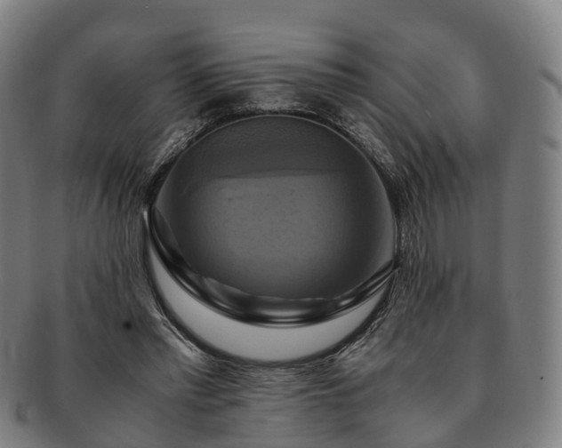 X0000091710397200708311120