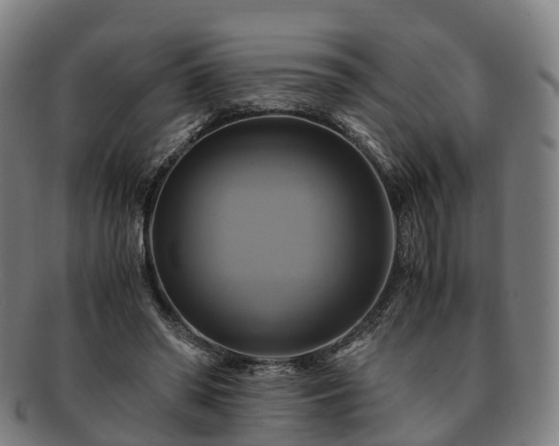 X0000091710398200708311120