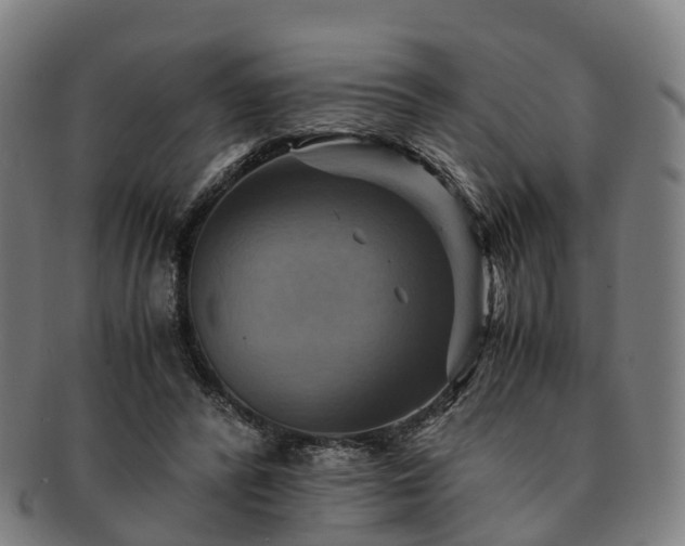 X0000091710400200708311120