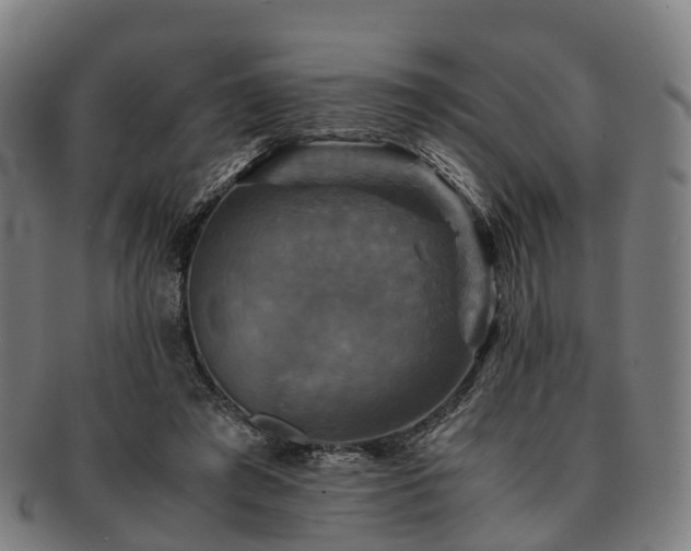 X0000091710401200708311120