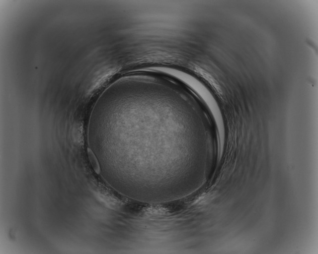 X0000091710403200708311120