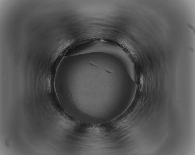 X0000091710404200708311120