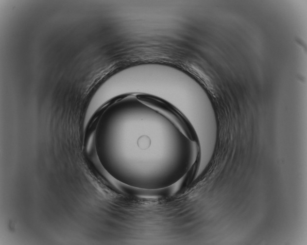 X0000091710405200708311120