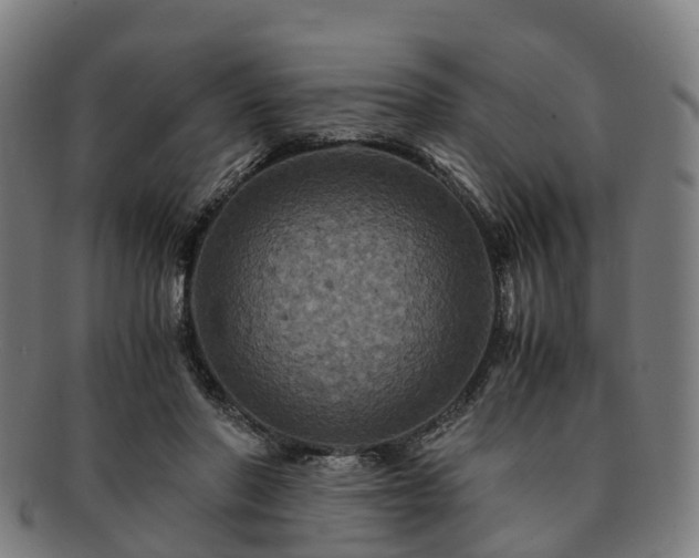 X0000091710406200708311120