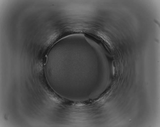 X0000091710407200708311120