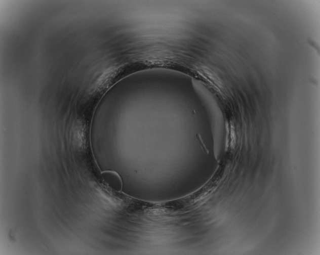 X0000091710408200708311120